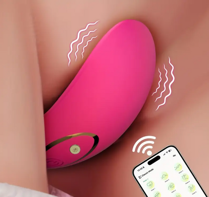 Vibrator Female Clitoris Stimulator Vagina Massager APP Control G Spot Simulation